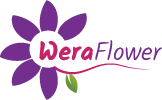 sklep internetowy Wera Flower