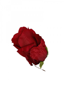 Róża gigant główka 12 cm czerwona