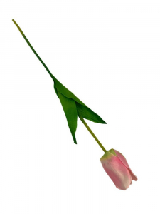 Tulipan 61 cm jasny róż