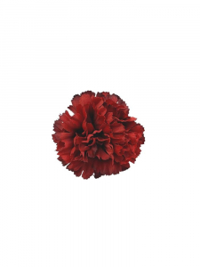 Goździk kwiat wyrobowy 8 cm głęboka czerwień