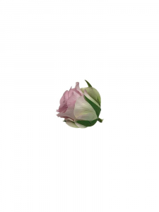 Róża główka 6 cm jasno fioletowa z zielenią