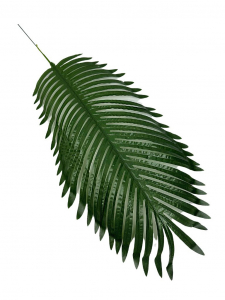 Liść palmy DUŻY 68 cm zielony