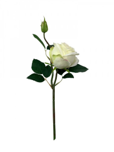 Róża kwiat pojedynczy 36 cm kremowa