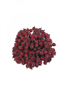 Owoce dzikiej róży o średnicy 1 cm czerwone (wiązka 400 szt)