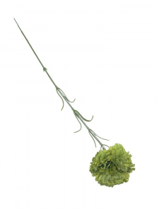 Goździk kwiat pojedynczy 52 cm zielony