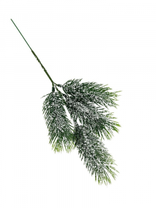 Gałązka jodły ośnieżona 30 cm zielona
