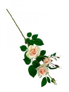 Róża kwiat pojedynczy 77 cm jasny róż z dodatkiem jasnej zieleni