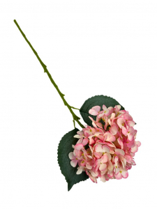 Hortensja gałązka 60 cm różowa