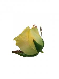 Róża główka 5 cm żółta
