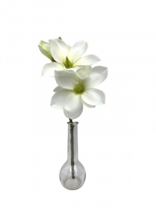 Magnolia kwiat pojedynczy 40 cm biała
