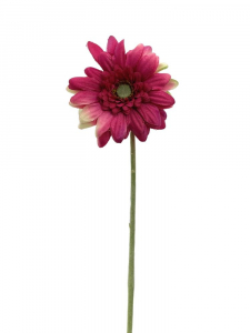Gerbera kwiat pojedynczy 46 cm ciemno różowa