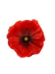 Mak kwiat wyrobowy 10 cm czerwony