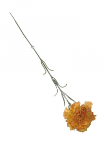 Goździk kwiat pojedynczy 52 cm herbaciany