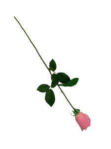 Róża kwiat pojedynczy 67 cm różowa