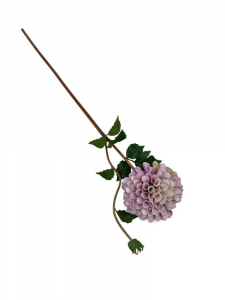 Dalia kwiat pojedynczy 70 cm jasny fiolet