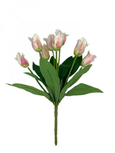 Tulipany strzępiaste bukiet 42 cm cm kremowe z różem
