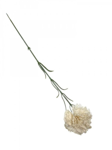Goździk kwiat pojedynczy 52 cm kremowy