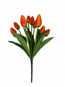 Bukiet 9 tulipanów 37 cm pomarańczowy