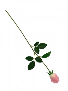 Róża kwiat pojedynczy 67 cm jasno różowa