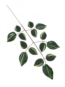 Liść trzykrotki omszony 54 cm zielono biały