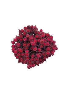 Owoce dzikiej róży o średnicy 1 cm fuksjowe (wiązka 400 szt)