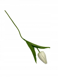 Tulipan 50 cm biały