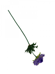 Anemon gałązka 34 cm ciemny fiolet