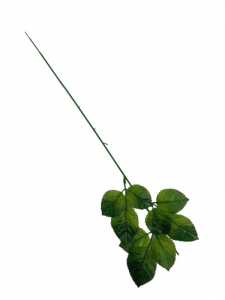 Łodyga do róży 65 cm zielona