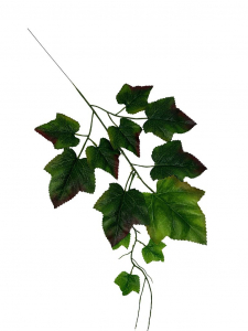 Liść winogrona 50 cm zielony z bordo akcentami