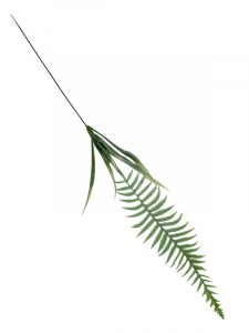 Liść paproci 70 cm biało zielony
