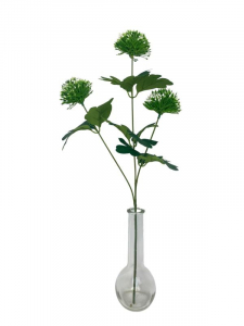 Czosnek kwiat pojedynczy 50 cm zielony z białymi końcówkami