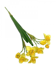 Narcyz gałązka 56 cm z żółtymi kwiatami