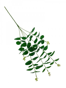 Eukaliptus bukiet 65 cm zielony