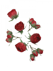 Róża główka komplet czerwony