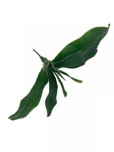Liść do storczyka 35 cm zielony