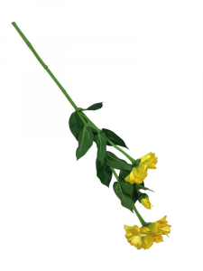 Cynia gałązka 62 cm żółta z zielenią