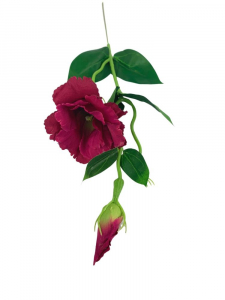 Eustoma gałązka 48 cm fuksja ciemy róż