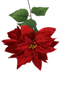 Gwiazda betlejemska kwiat pojedynczy 90 cm czerwona