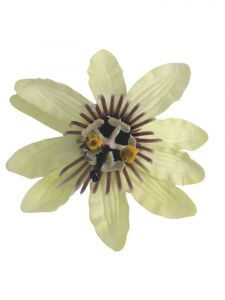 Męczennica kwiat wyrobowy 12 cm seledynowa
