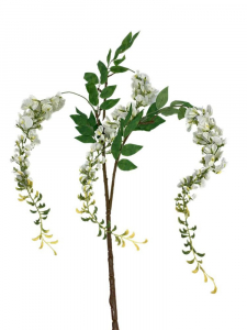 Groszek gałązka kwitnąca 165 cm zwisające kwiaty