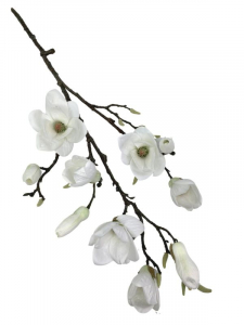 Magnolia gałązka 88 cm biała