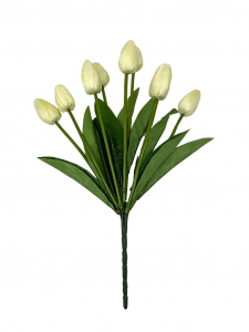 Bukiet 9 tulipanów 37 cm kremowy