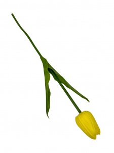 Tulipan z pianki 45 cm żółty