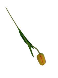 Tulipan kwiat pojedynczy 42 cm pomarańczowy