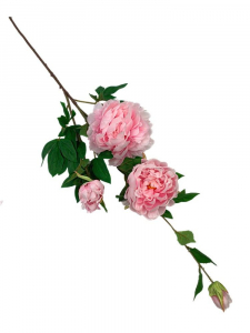 Piwonia gałązka 114 cm jasny róż