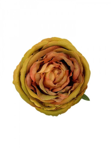 Róża główka 11 cm musztardowa