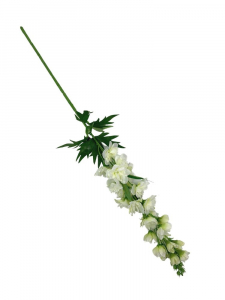 Ostróżka gałązka 71 cm biało zielona