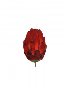Protea kwiat wyrobowy 13 cm czerwona