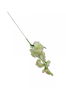 Ostróżka kwiat pojedynczy 44 cm jasno zielona z różem
