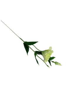 Eustoma na gałązce 48 cm jasno zielona
